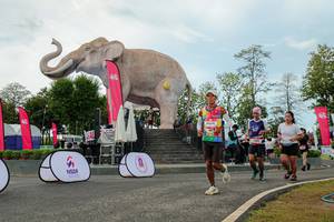 BIB: 
                            <button type="button" onclick="openModal(26528967)" class="btn btn-primary btn-sm float-right btn-popup" data-toggle="modal" data-target=".modal-high-quality">
                        <i class="fas fa-shopping-cart"></i> Add to Cart
                    </button>
                                            <button type="button" onclick="isThisMe(26528967, true)" class="btn btn-success btn-sm float-right btn-popup btn-isme hidden" data-toggle="tooltip" data-placement="bottom" title="นี่คือรูปของคุณใช่ไหม คลิกที่นี่เพื่อเอาเข้าอัลบั้ม">
                        <i class="fas fa-plus"></i> Add to album
                    </button>
                    <button type="button" onclick="isThisMe(26528967, false)" class="btn btn-warning btn-sm float-right btn-popup btn-isnotme hidden">
                        <i class="fas fa-ban"></i> Remove from album
                    </button>